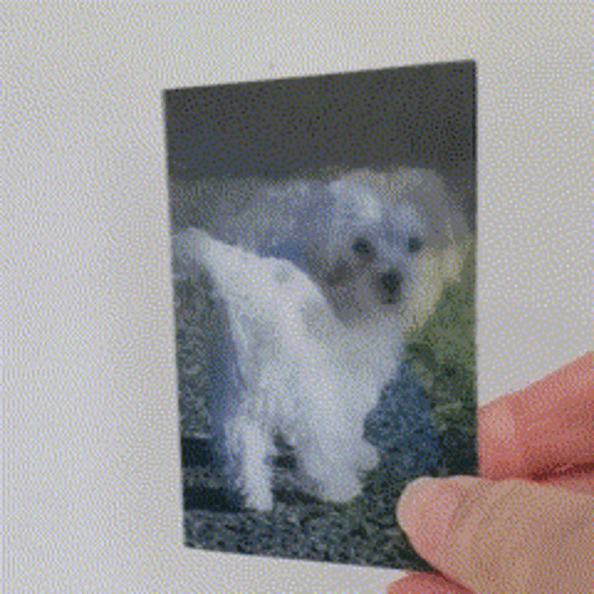Custom Lenticular Pet Portrait