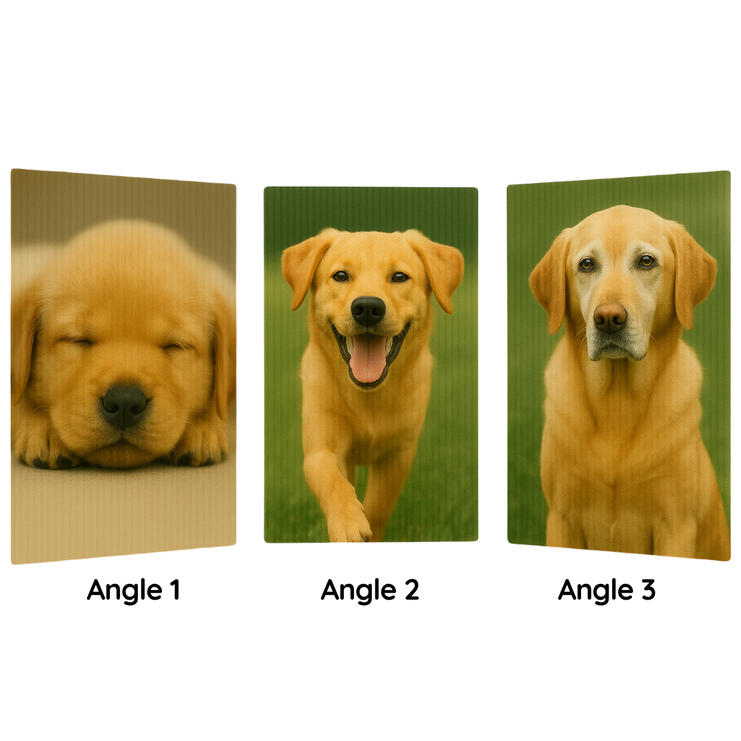 Custom Lenticular Pet Portrait