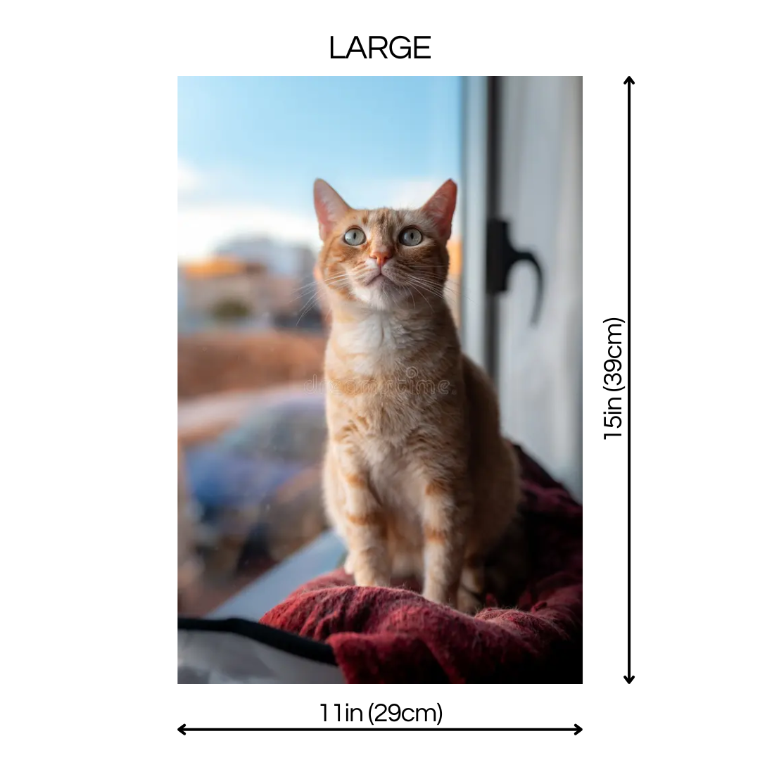 Custom Lenticular Pet Portrait